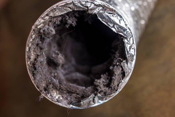 Best Professional Duct Cleaning Services  in Brittany Farms The Highlands, PA